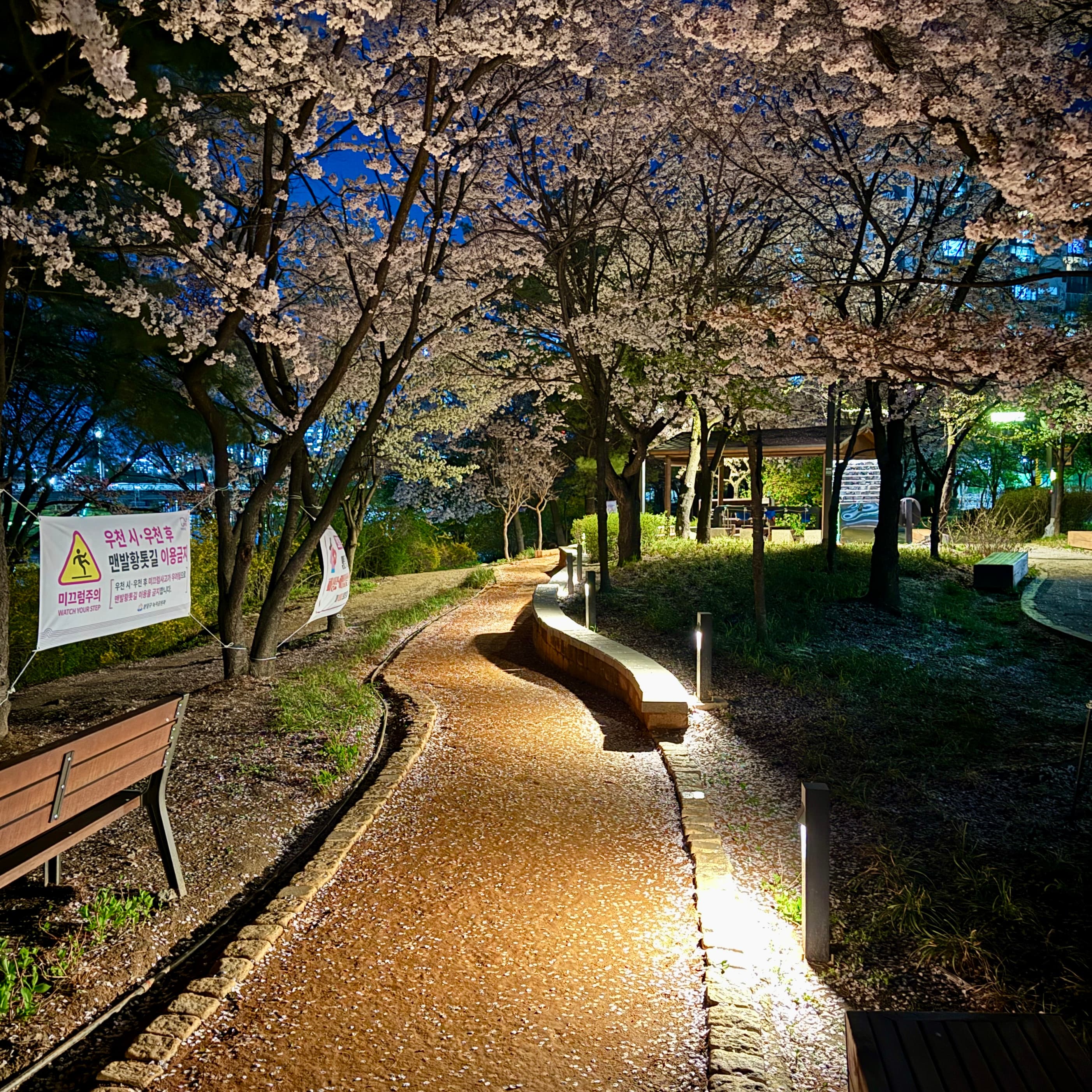 Night Walk